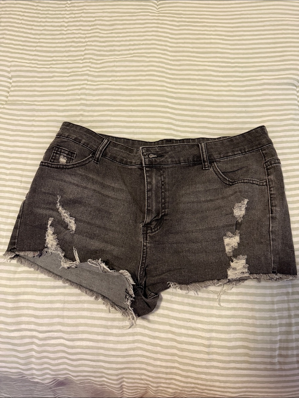 Women's Distressed Black Denim Shorts